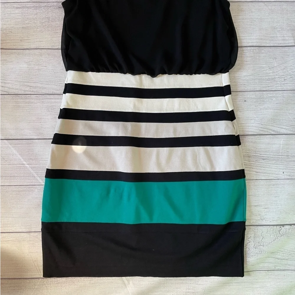 Express Dress - Picture 5 of 7